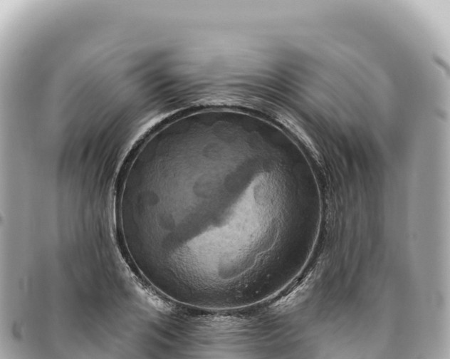 X0000095880984200801251136