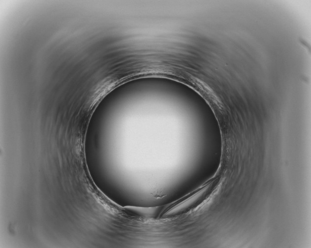 X0000095880985200801251136