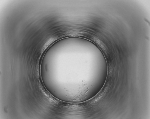 X0000095880986200801251136