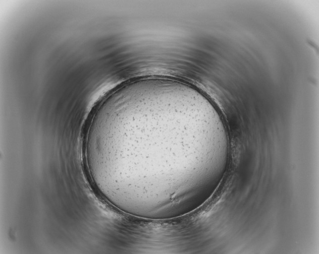 X0000095880987200801251136