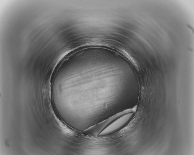 X0000095880988200801251136