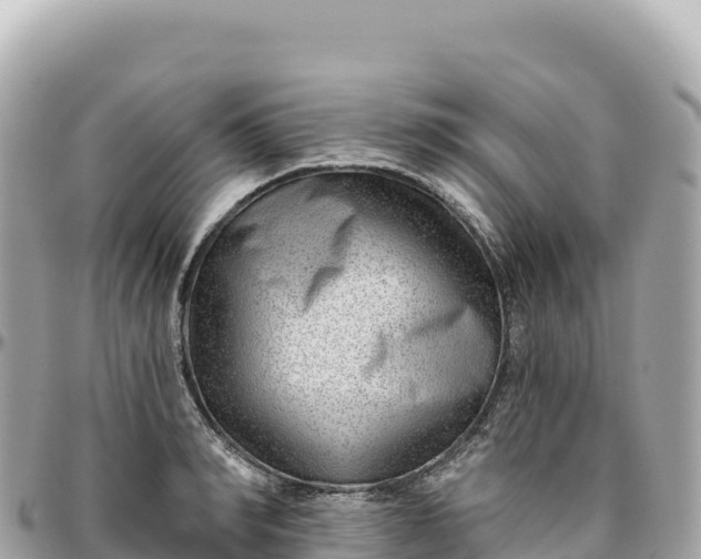 X0000095880990200801251136