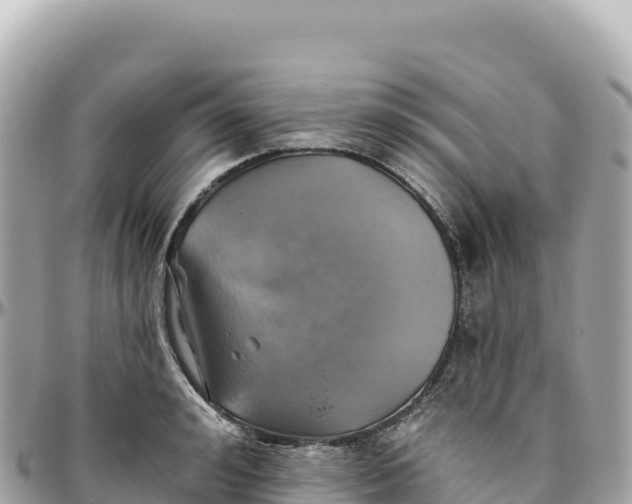 X0000095880992200801251136