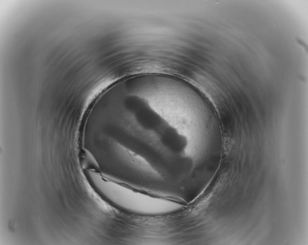 X0000095880995200801251136