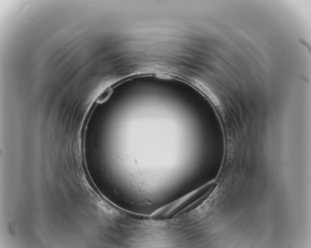 X0000095880996200801251136