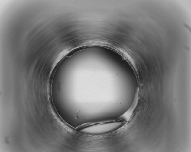 X0000095880997200801251136