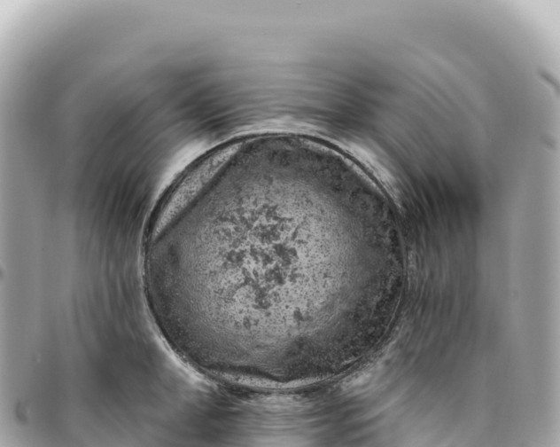 X0000095880998200801251136