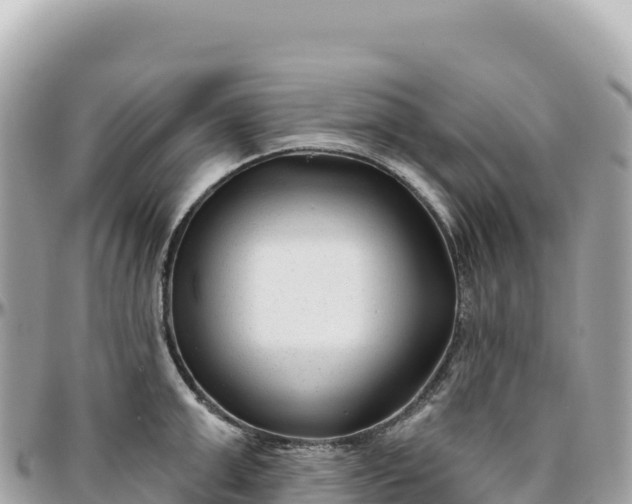 X0000095880999200801251136