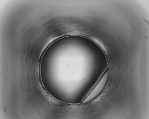 X0000095881000200801251136