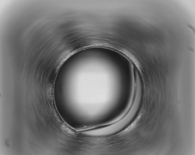 X0000095881001200801251136