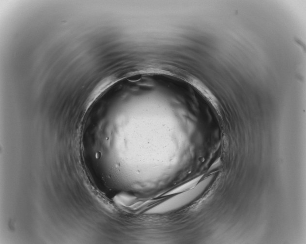 X0000095881002200801251136