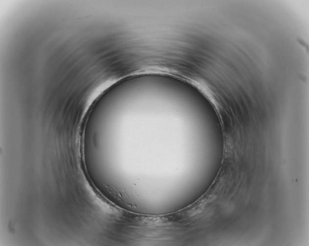 X0000095881003200801251136