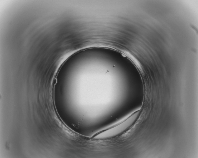 X0000095881004200801251136