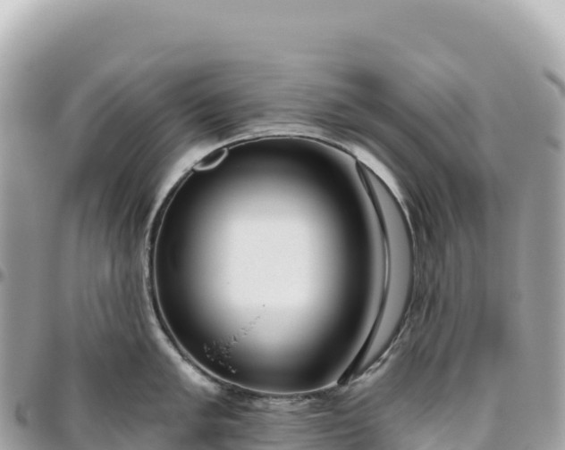 X0000095881005200801251136