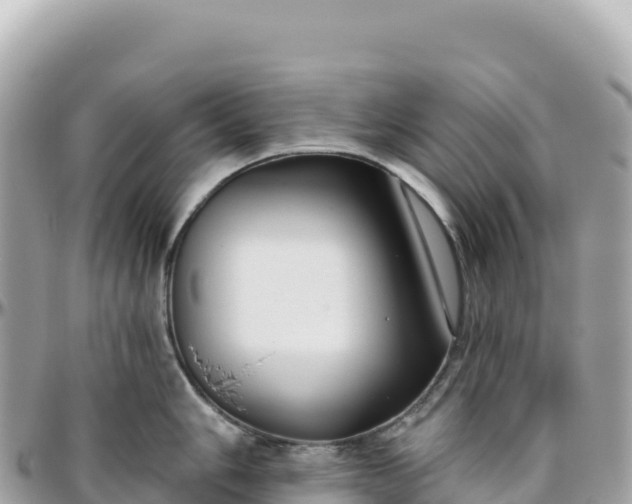 X0000095881006200801251136