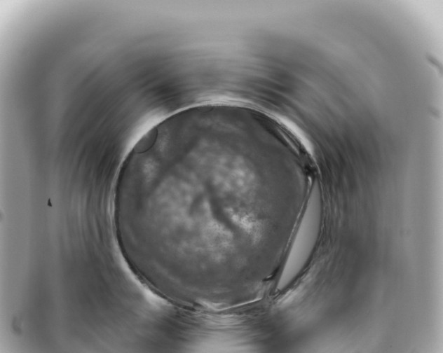 X0000095881007200801251136