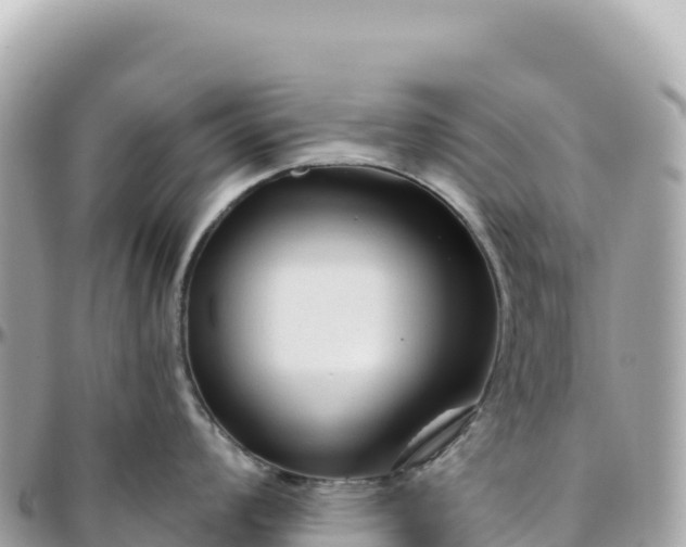 X0000095881008200801251136