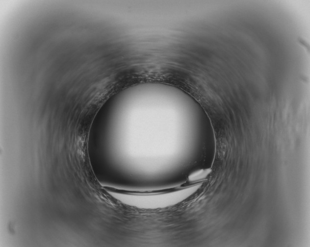 X0000095881010200801251135