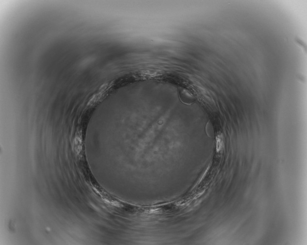 X0000095881011200801251135