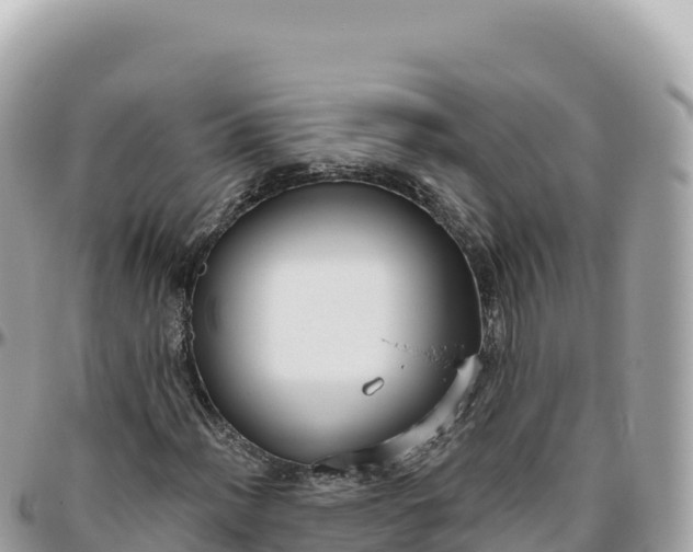 X0000095881012200801251135