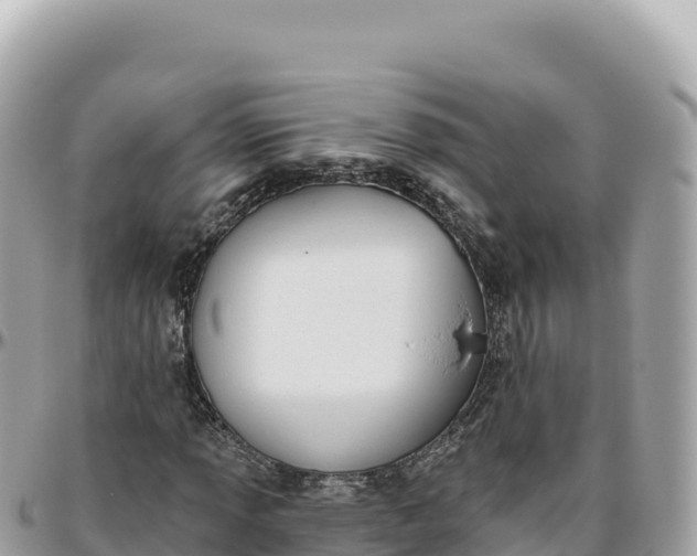 X0000095881013200801251135