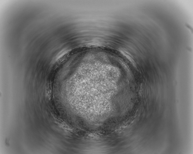 X0000095881015200801251135