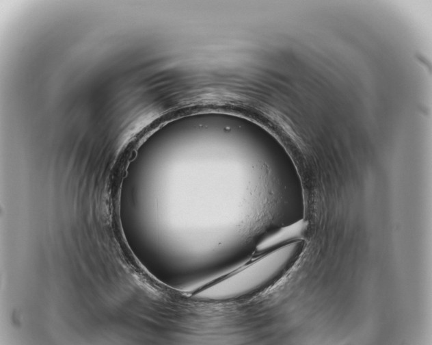 X0000095881018200801251135