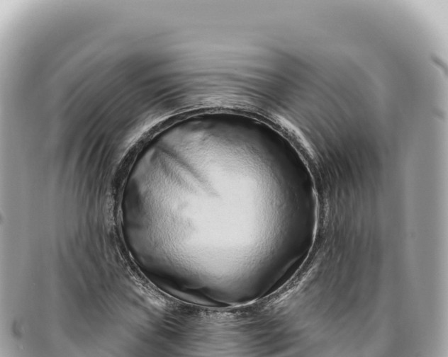 X0000095881019200801251136