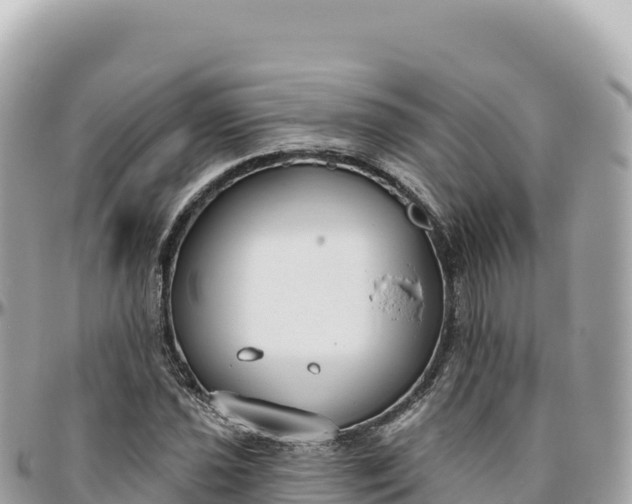 X0000095881021200801251136