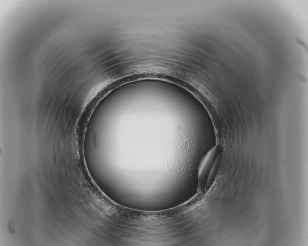 X0000095881022200801251136