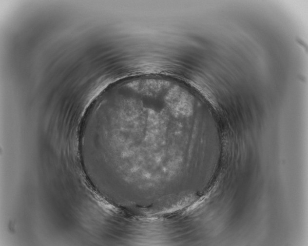 X0000095881023200801251136