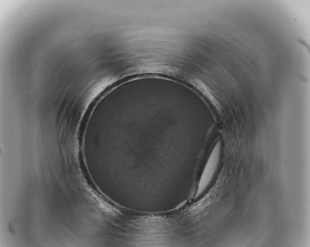 X0000095881024200801251136