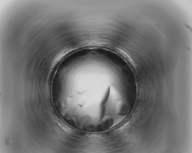 X0000095881027200801251136