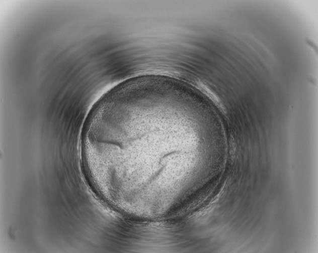 X0000095881028200801251136