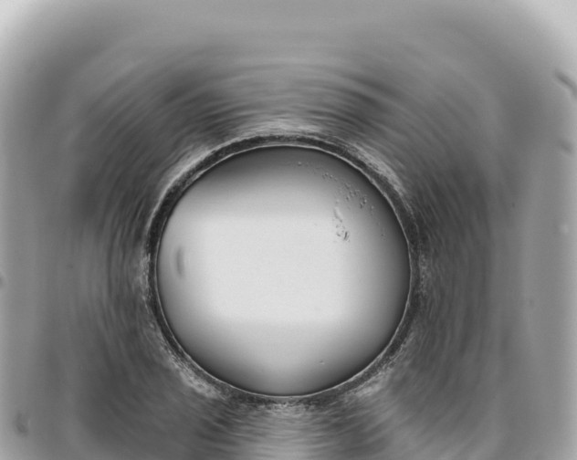 X0000095881029200801251136