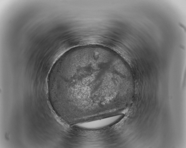 X0000095881031200801251136