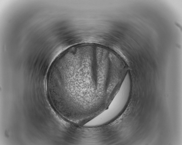 X0000095881032200801251136