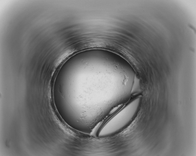 X0000095881034200801251136