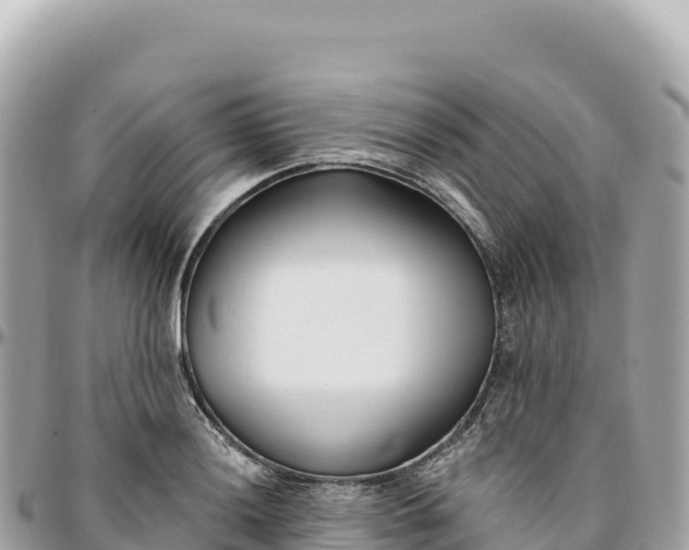 X0000095881036200801251136