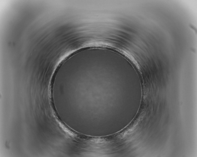 X0000095881037200801251136