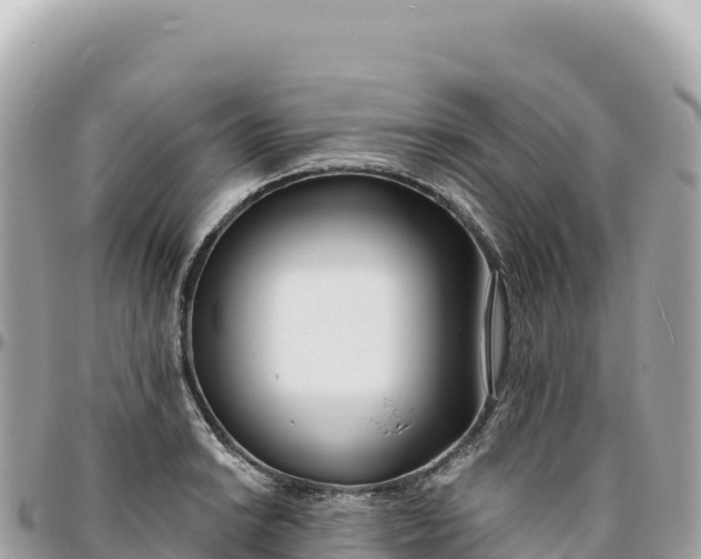 X0000095881038200801251136