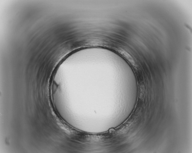 X0000095881039200801251136