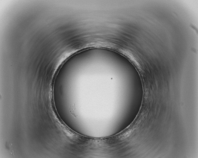 X0000095881040200801251136