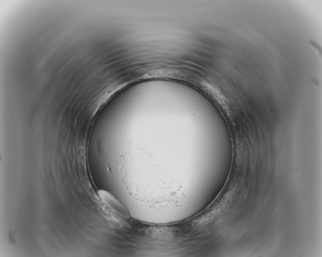 X0000095881041200801251136