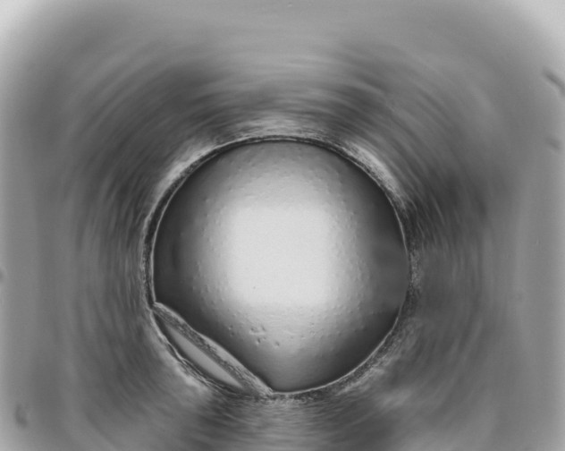 X0000095881043200801251136