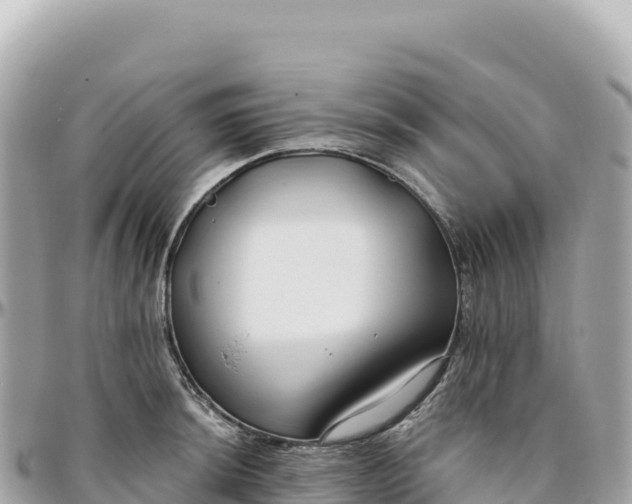 X0000095881044200801251136