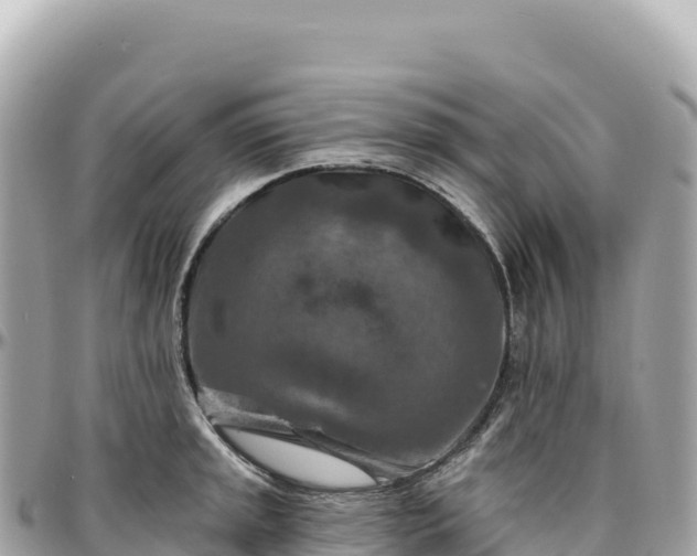 X0000095881045200801251136