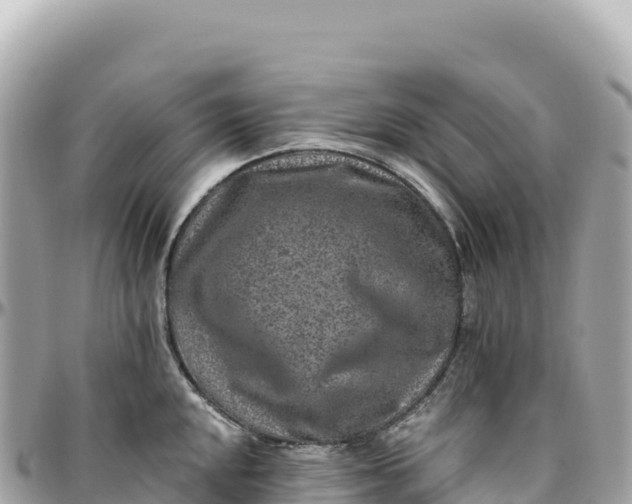 X0000095881048200801251136