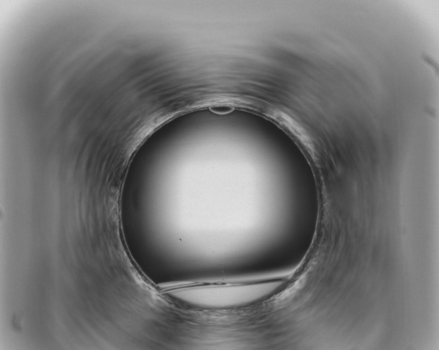 X0000095881049200801251136