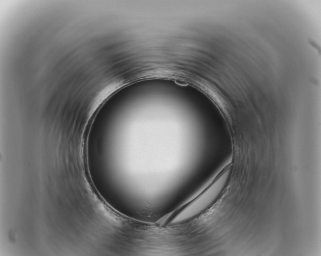 X0000095881050200801251136